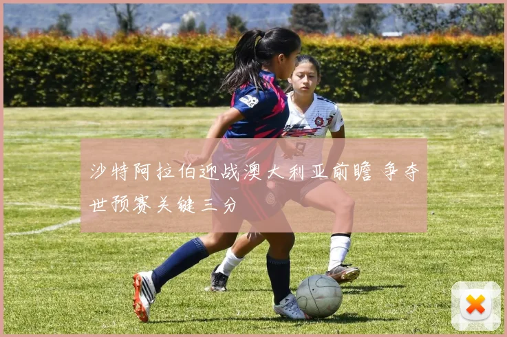 沙特阿拉伯迎战澳大利亚前瞻 争夺世预赛关键三分