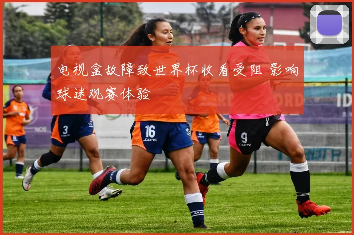 电视盒故障致世界杯收看受阻 影响球迷观赛体验