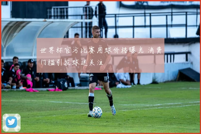 世界杯官方比赛用球价格曝光 消费门槛引发球迷关注