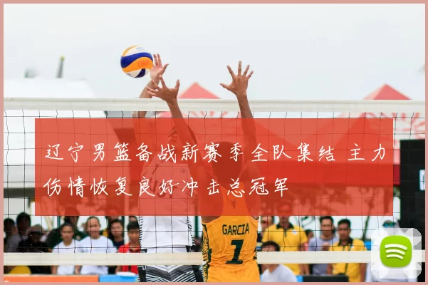 辽宁男篮备战新赛季全队集结 主力伤情恢复良好冲击总冠军