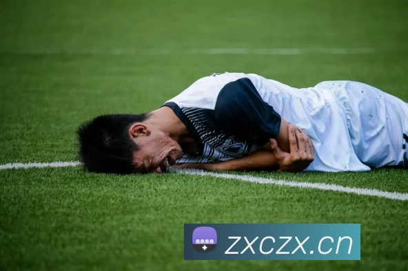 米乐yy易游·m6(中国大陆)官方网站APP 封面图